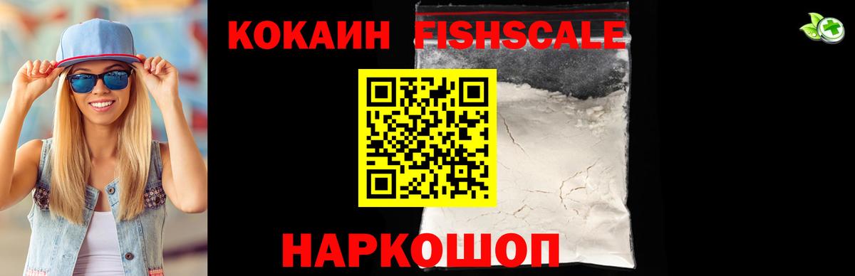 Cocaine  Заводоуковск  Кокаин FishScale 