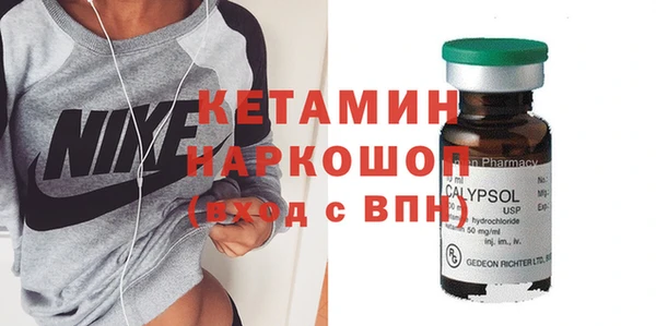 сатива Новозыбков