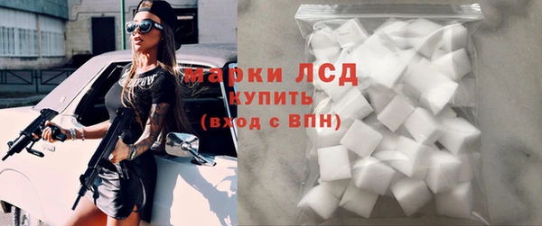 крисы Новокубанск