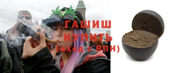 сатива Новозыбков