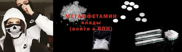 сатива Новозыбков