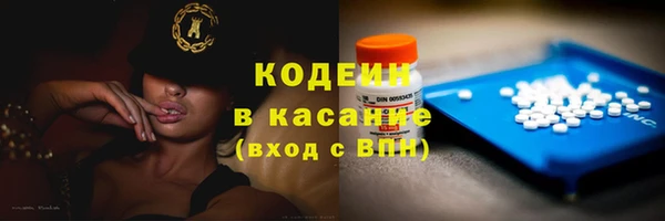 сатива Новозыбков