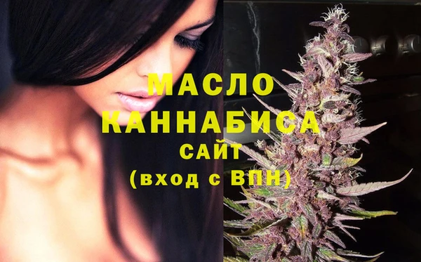 сатива Новозыбков