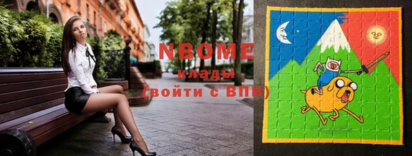 сатива Новозыбков