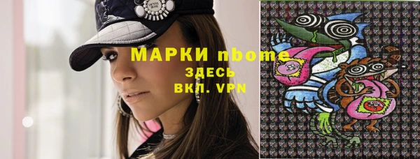 крисы Новокубанск