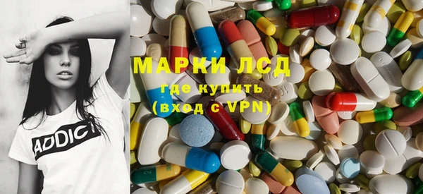 сатива Новозыбков