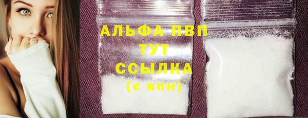 сатива Новозыбков