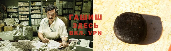сатива Новозыбков