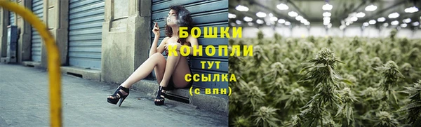 крисы Новокубанск