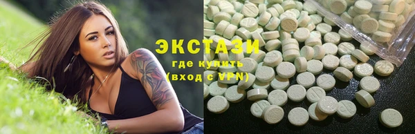 сатива Новозыбков