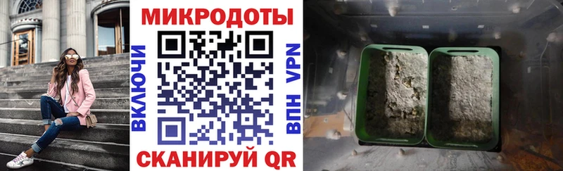 Псилоцибиновые грибы Cubensis  где можно купить наркотик  Заводоуковск 