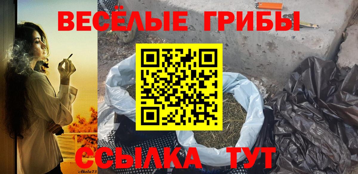 Галлюциногенные грибы прущие грибы  как найти закладки  Заводоуковск 