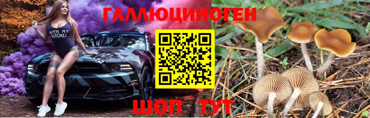 Псилоцибиновые грибы MAGIC MUSHROOMS Заводоуковск