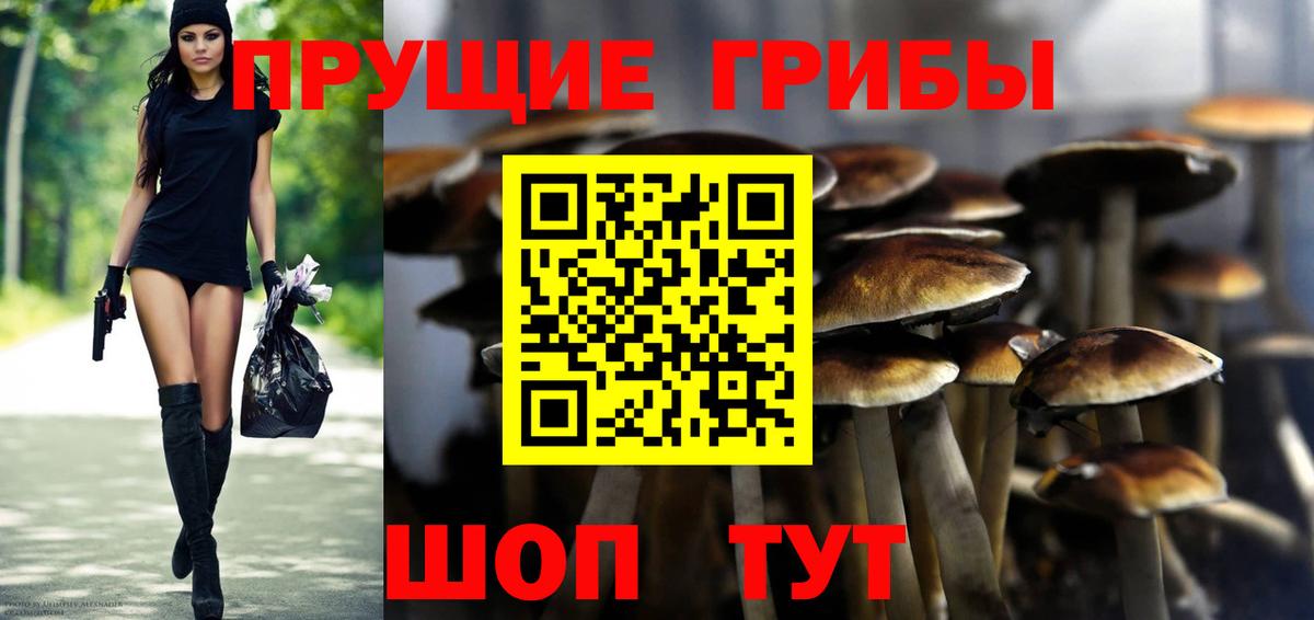 Галлюциногенные грибы Psilocybine cubensis  Вход с VPN  Галлюциногенные грибы Psilocybine cubensis  Заводоуковск 