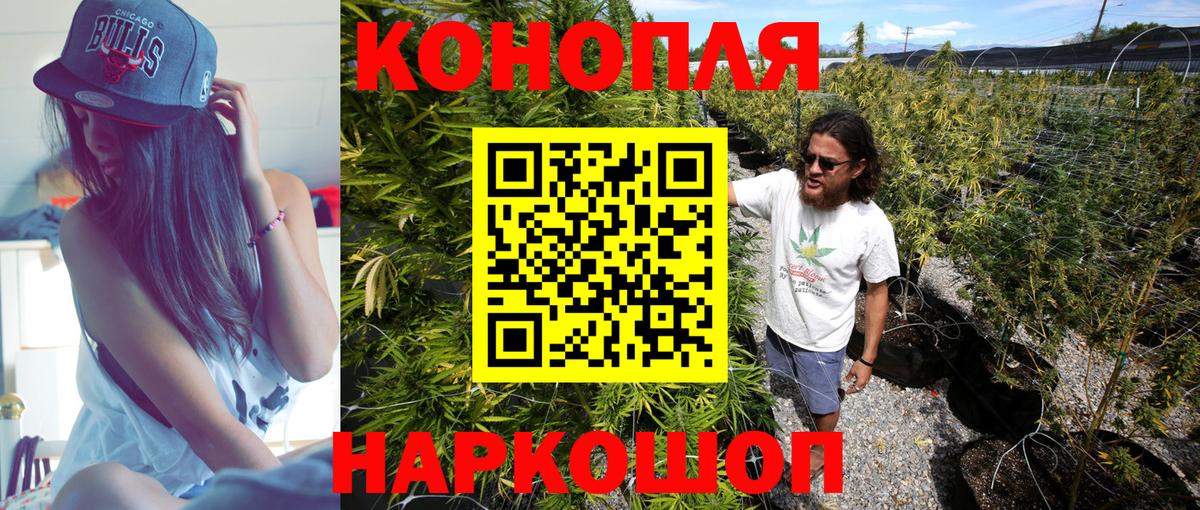 Бошки Шишки семена  Бошки Шишки план  Заводоуковск  МАРИХУАНА White Widow 