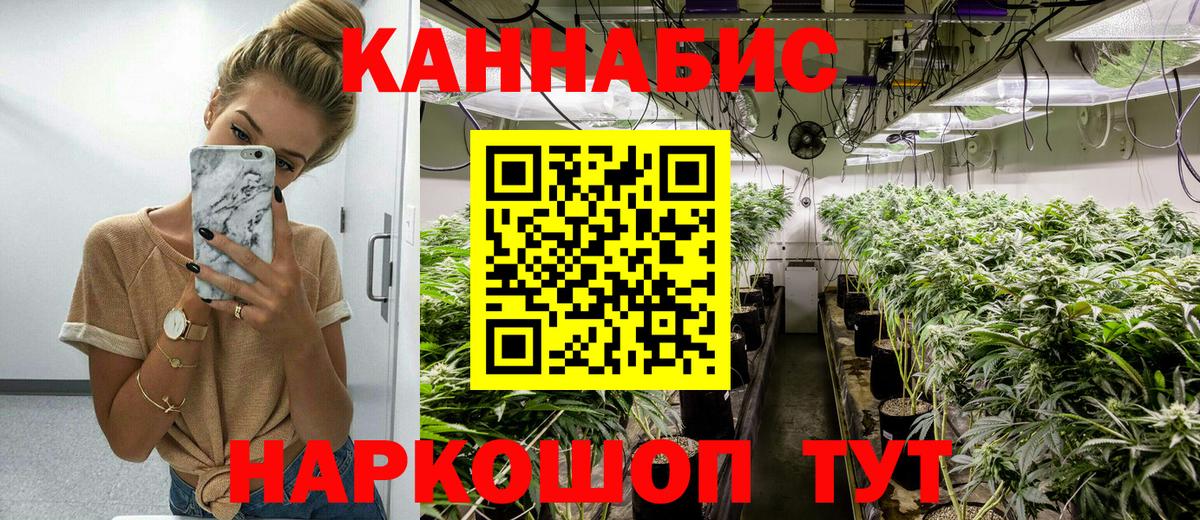 Заводоуковск  Бошки Шишки MAZAR  Вход с VPN  Бошки Шишки тримм 